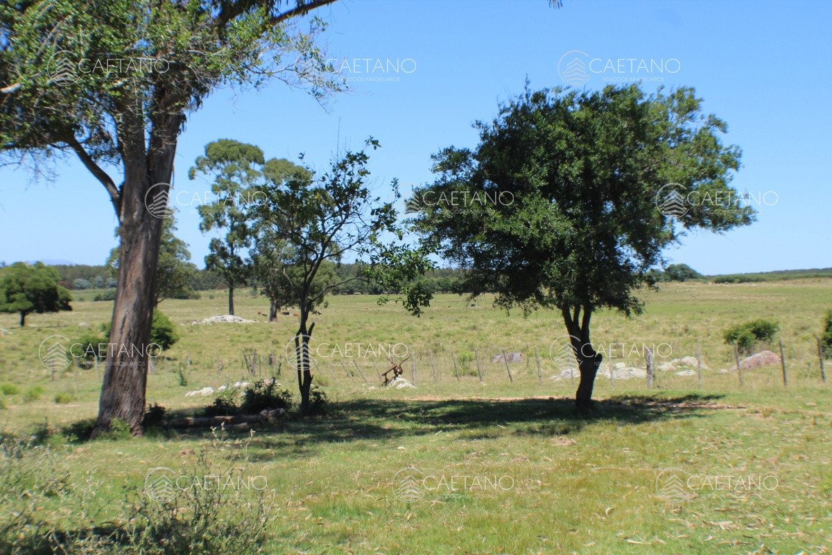 FracciÃ³n de campo a metros de ruta 12 - GoPunta - Portal Inmobiliario de Punta del Este - Maldonado
