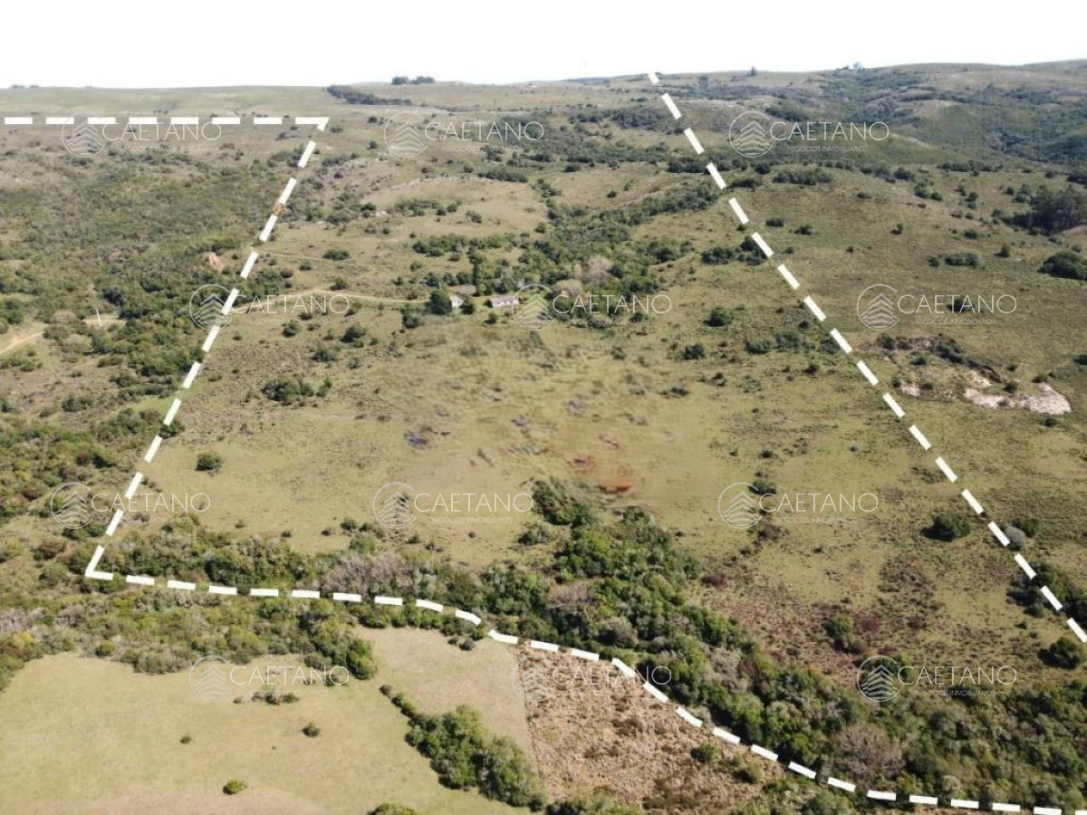 Venta Campo 80 hectareas  - DMC16491P