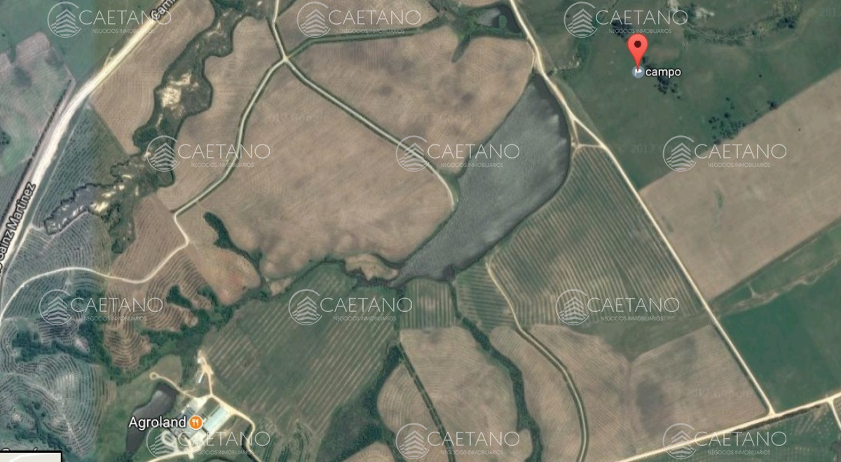 Excelente campo de 113 hectáreas ubicado en Garzón
