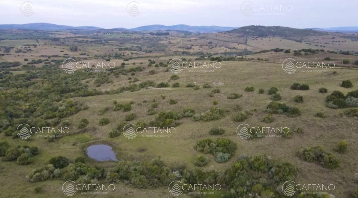 Venta chacra 36has Pueblo Eden - DMC13177P