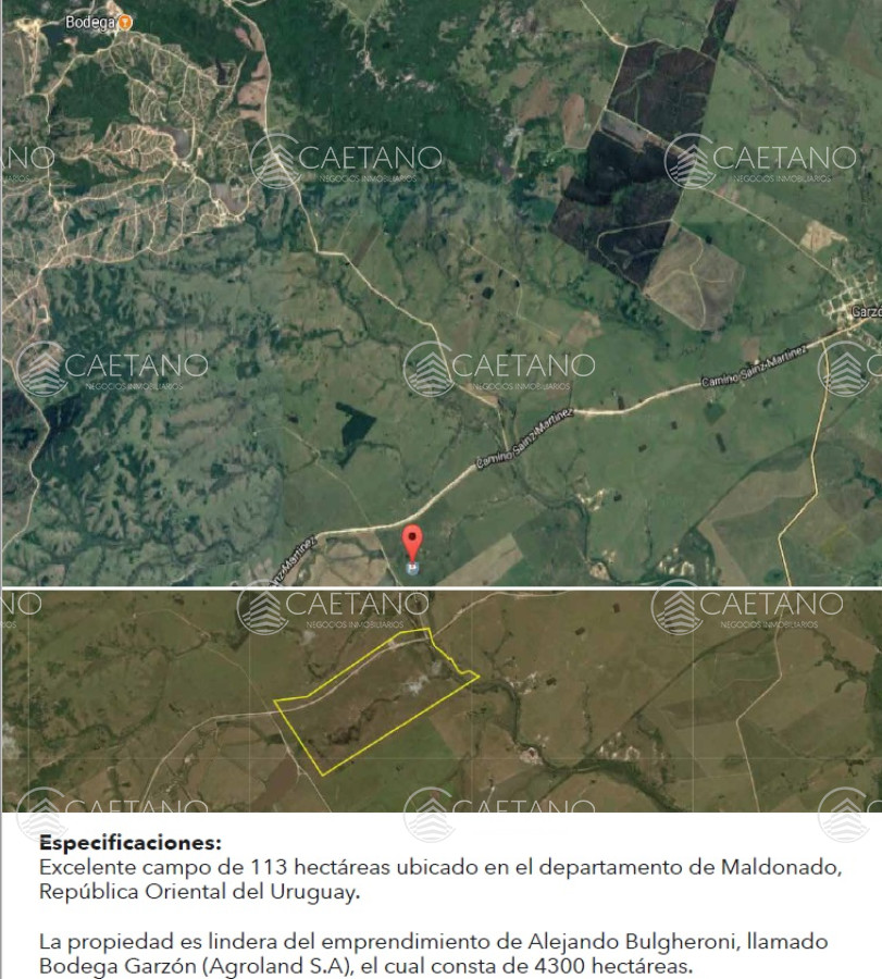 Excelente campo de 113 hectáreas ubicado en Garzón - GoPunta - Portal Inmobiliario de Punta del Este - Maldonado