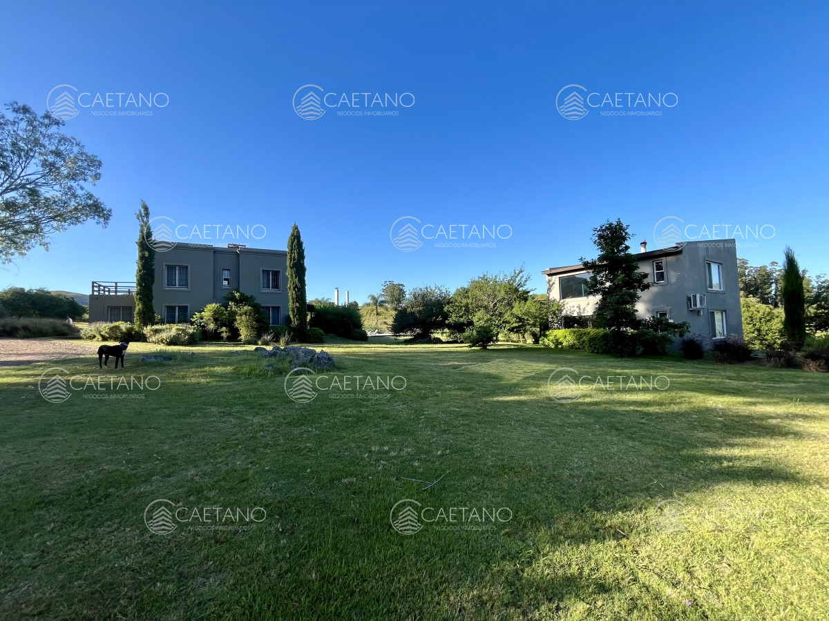 Venta campo 133 hectáreas. Pan de Azúcar, Maldonado  