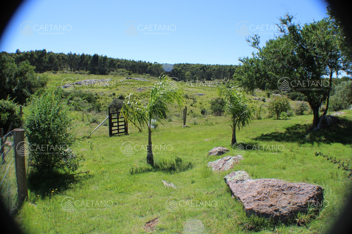 En venta, campo con casa y acceso directo desde ruta 12. Excelentes vistas. - GoPunta - Portal Inmobiliario de Punta del Este - Maldonado