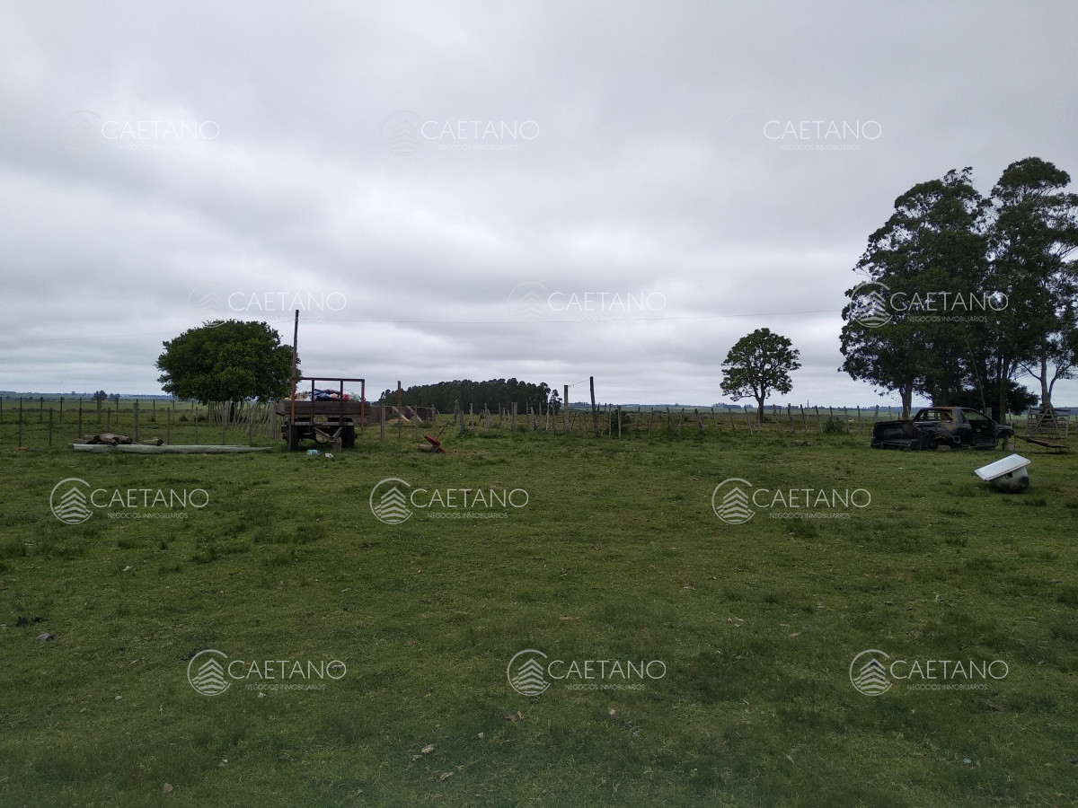 Campo con casco a pasitos de Garzon! Ideal para inversores!!! - GoPunta - Portal Inmobiliario de Punta del Este - Maldonado
