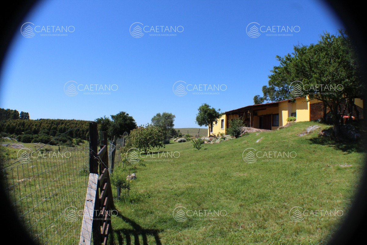 En venta, campo con casa y acceso directo desde ruta 12. Excelentes vistas. - GoPunta - Portal Inmobiliario de Punta del Este - Maldonado