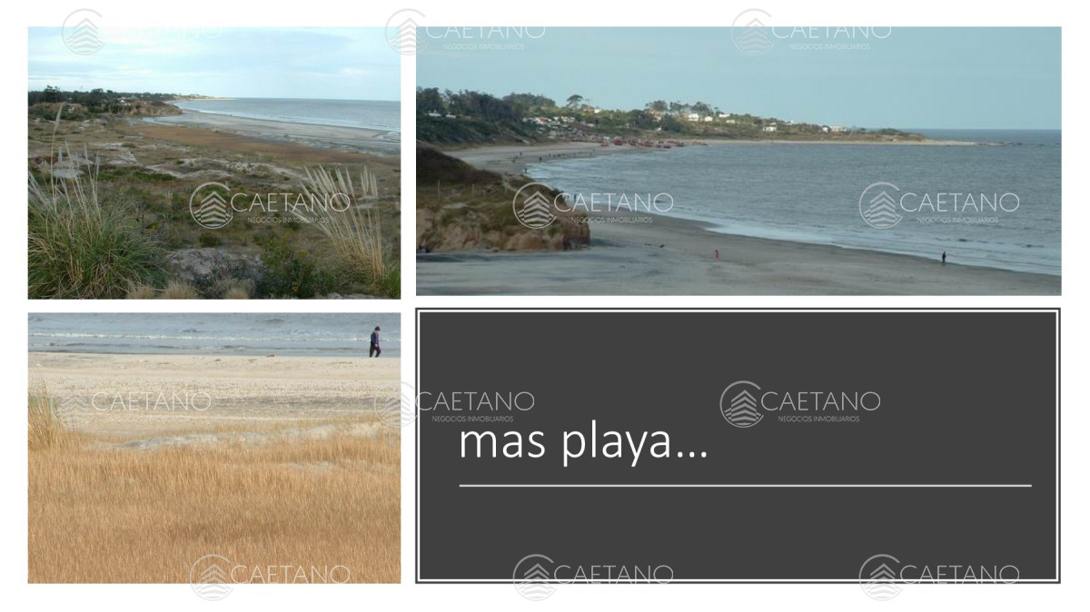 Venta campo 117 hectáreas sobre río de la plata - GoPunta - Portal Inmobiliario de Punta del Este - Maldonado