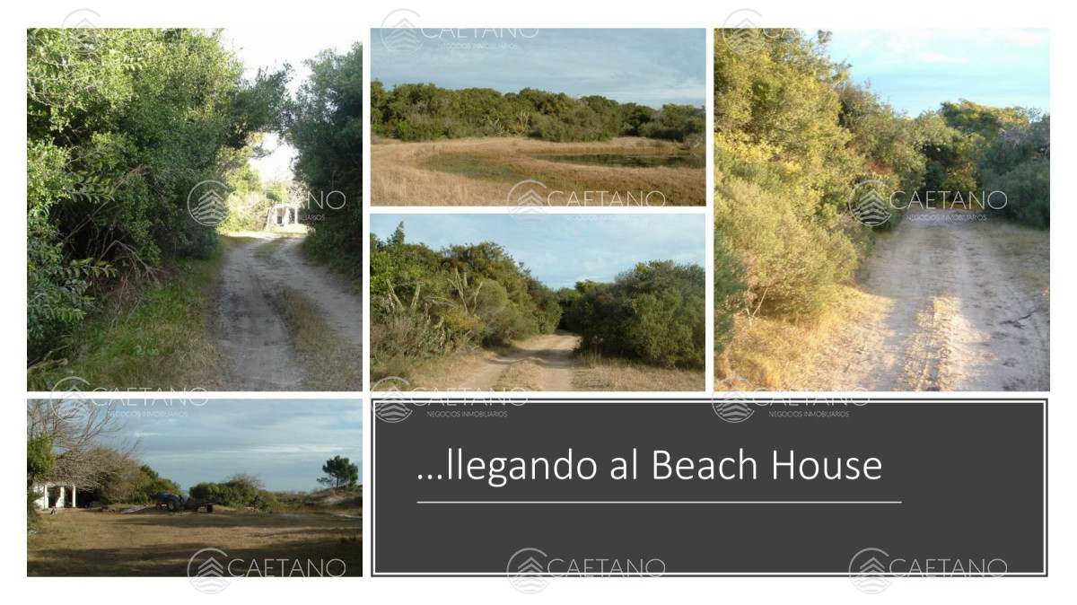 Venta campo 117 hectáreas sobre río de la plata - GoPunta - Portal Inmobiliario de Punta del Este - Maldonado