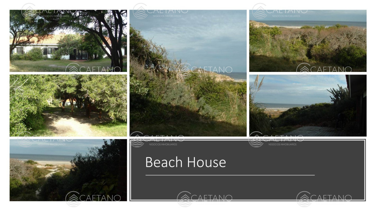 Venta campo 117 hectáreas sobre río de la plata - GoPunta - Portal Inmobiliario de Punta del Este - Maldonado