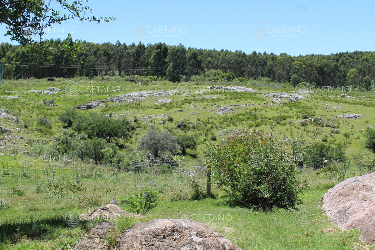 FracciÃ³n de campo a metros de ruta 12 - GoPunta - Portal Inmobiliario de Punta del Este - Maldonado