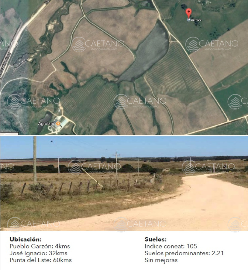 Excelente campo de 113 hectáreas ubicado en Garzón - GoPunta - Portal Inmobiliario de Punta del Este - Maldonado
