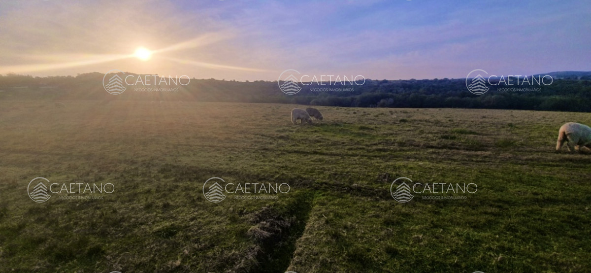 Venta campo 14hs en Pueblo Edén con opcion a anexar 86has más  3 tajamares, 3 construcciones, piscina climatizada, parrillero - GoPunta - Portal Inmobiliario de Punta del Este - Maldonado