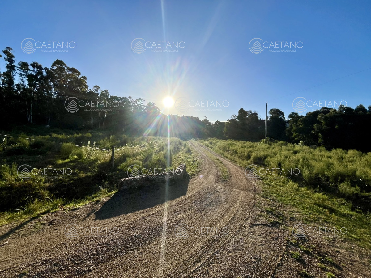Venta campo 133 hectáreas. Pan de Azúcar, Maldonado - GoPunta - Portal Inmobiliario de Punta del Este - Maldonado