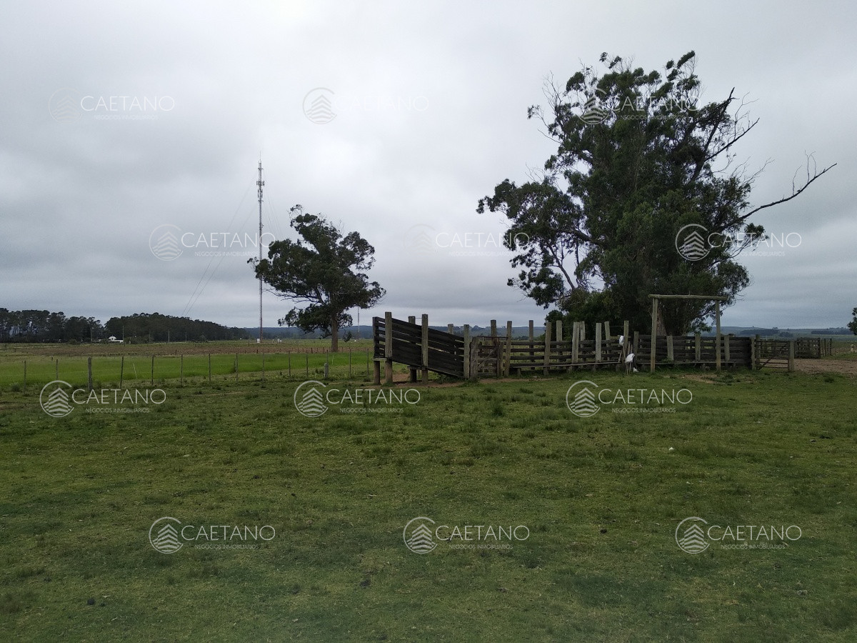 Campo con casco a pasitos de Garzon! Ideal para inversores!!! - GoPunta - Portal Inmobiliario de Punta del Este - Maldonado
