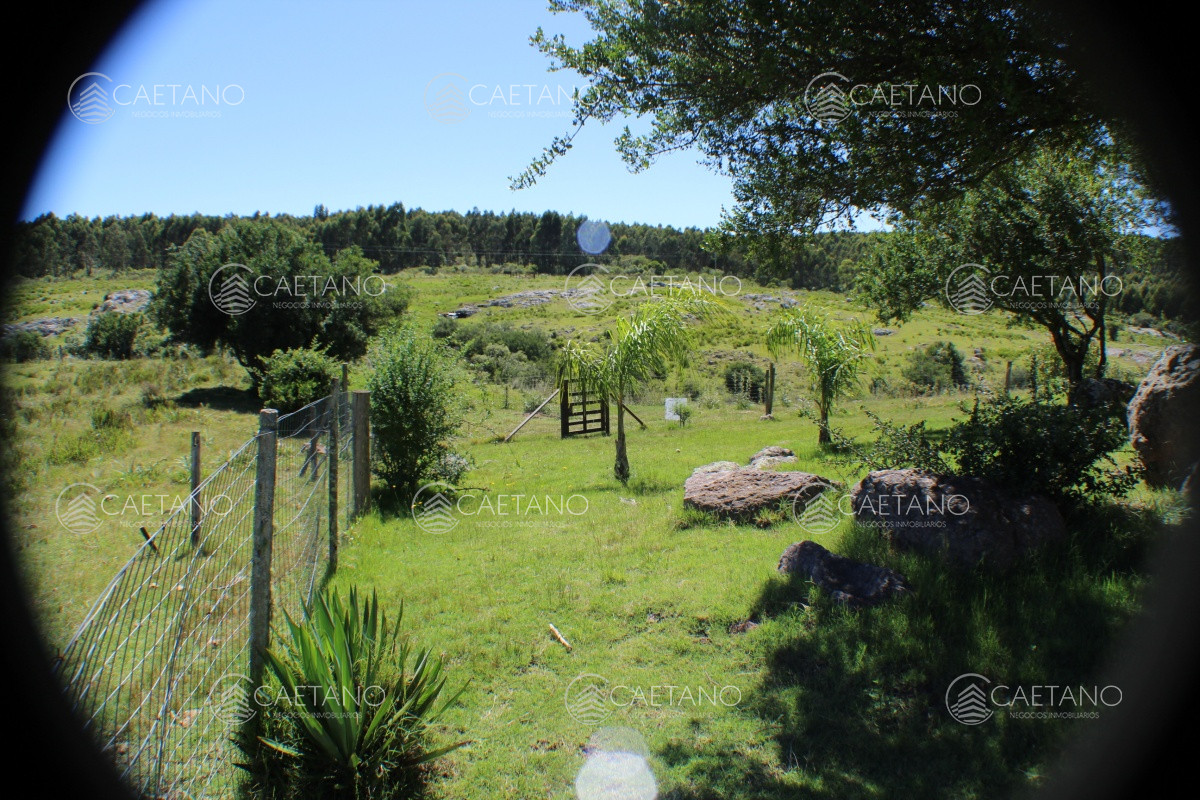 En venta, campo con casa y acceso directo desde ruta 12. Excelentes vistas. - GoPunta - Portal Inmobiliario de Punta del Este - Maldonado
