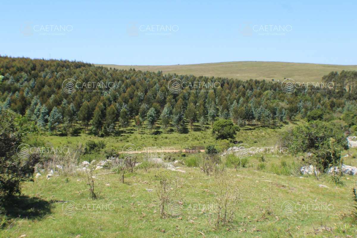 FracciÃ³n de campo a metros de ruta 12 - GoPunta - Portal Inmobiliario de Punta del Este - Maldonado