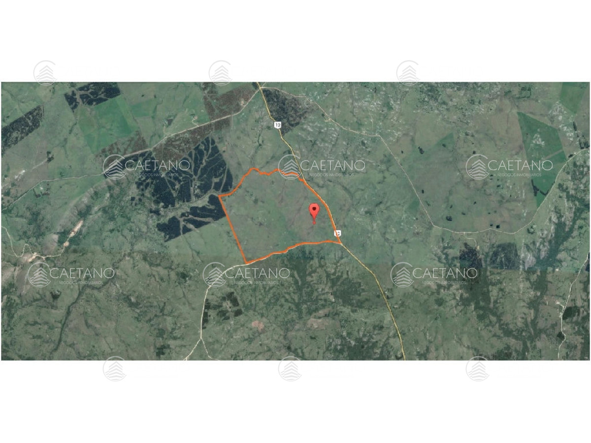 Se vende campo de 140 hÃ¡ a USD 5.000 x hectarea, sobre ruta 12. - GoPunta - Portal Inmobiliario de Punta del Este - Maldonado