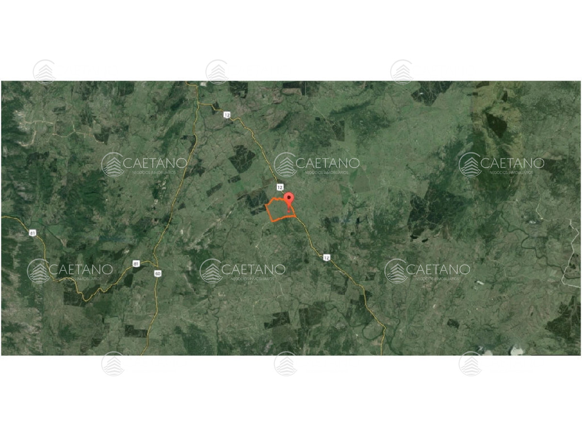 Se vende campo de 140 hÃ¡ a USD 5.000 x hectarea, sobre ruta 12. - GoPunta - Portal Inmobiliario de Punta del Este - Maldonado