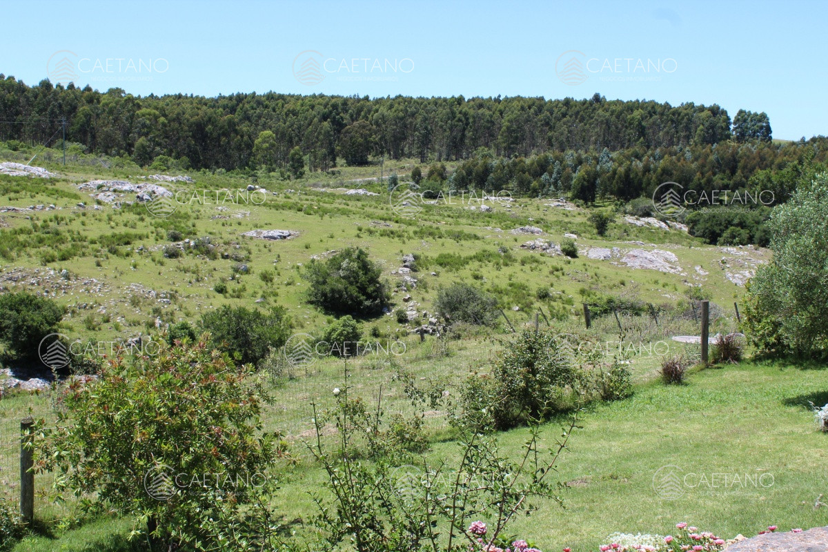 FracciÃ³n de campo a metros de ruta 12 - GoPunta - Portal Inmobiliario de Punta del Este - Maldonado