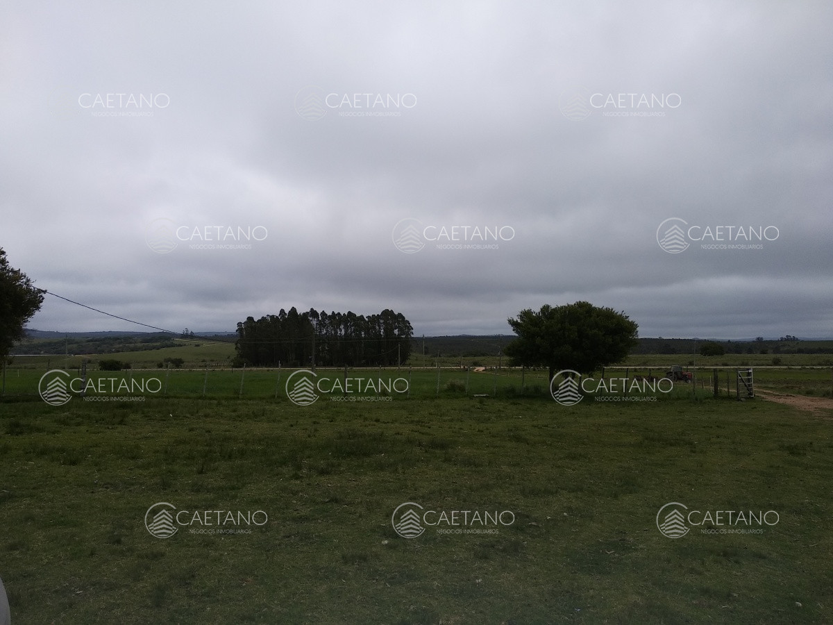 Campo con casco a pasitos de Garzon! Ideal para inversores!!! - GoPunta - Portal Inmobiliario de Punta del Este - Maldonado