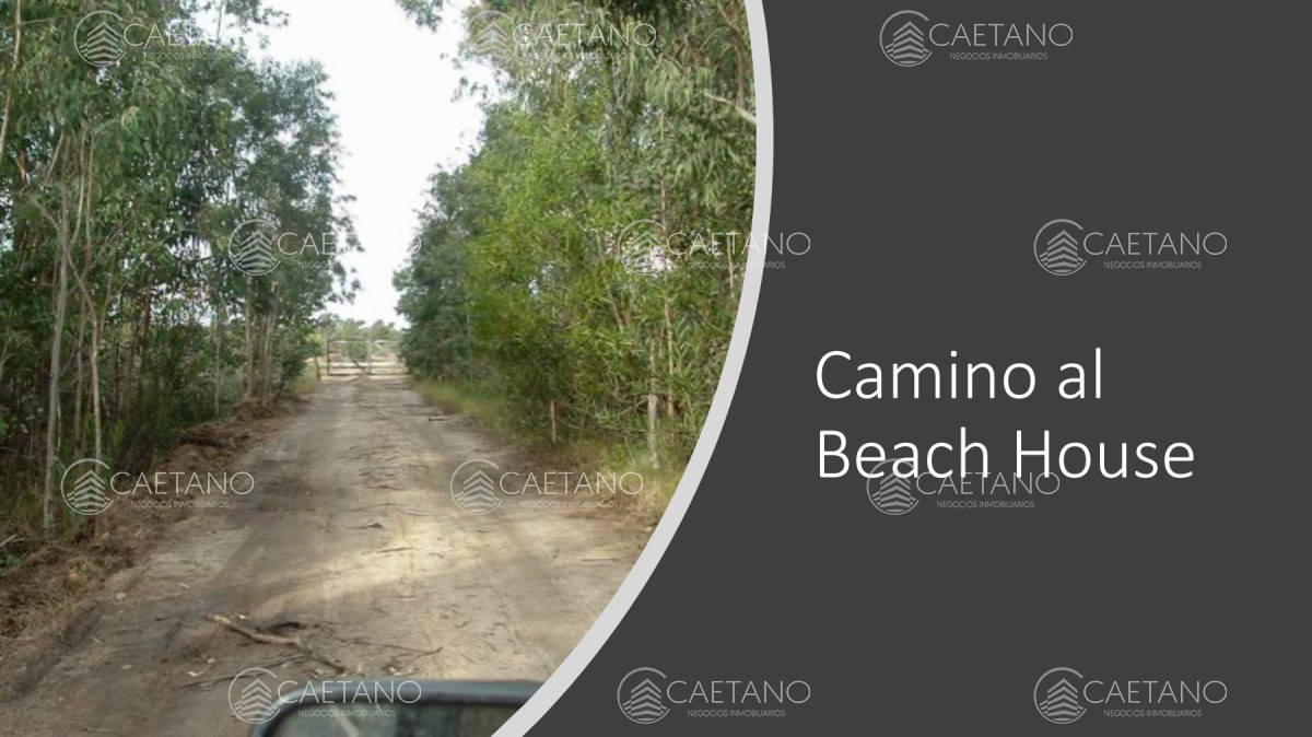 Venta campo 117 hectáreas sobre río de la plata - GoPunta - Portal Inmobiliario de Punta del Este - Maldonado