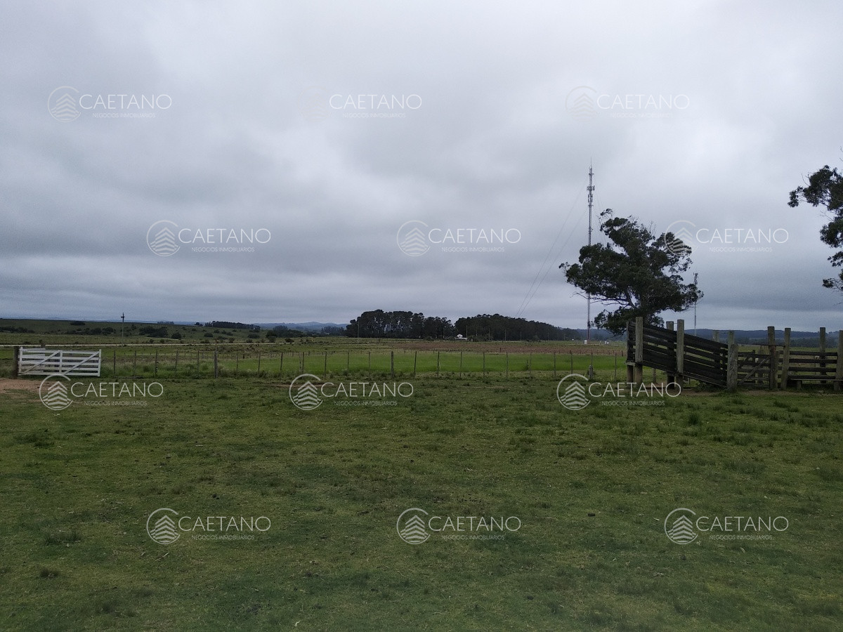 Campo con casco a pasitos de Garzon! Ideal para inversores!!! - GoPunta - Portal Inmobiliario de Punta del Este - Maldonado