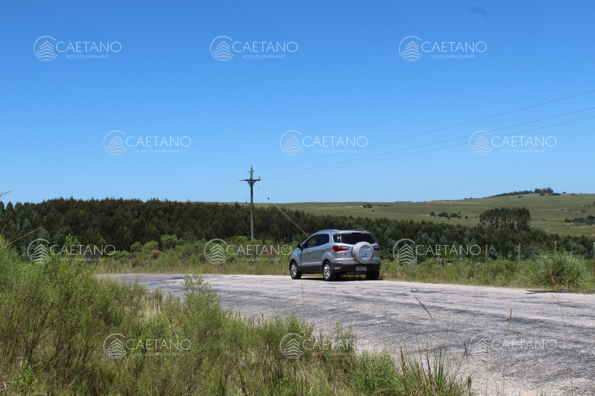 FracciÃ³n de campo a metros de ruta 12 - GoPunta - Portal Inmobiliario de Punta del Este - Maldonado