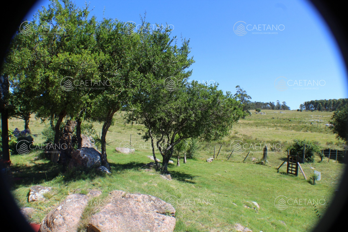 En venta, campo con casa y acceso directo desde ruta 12. Excelentes vistas.