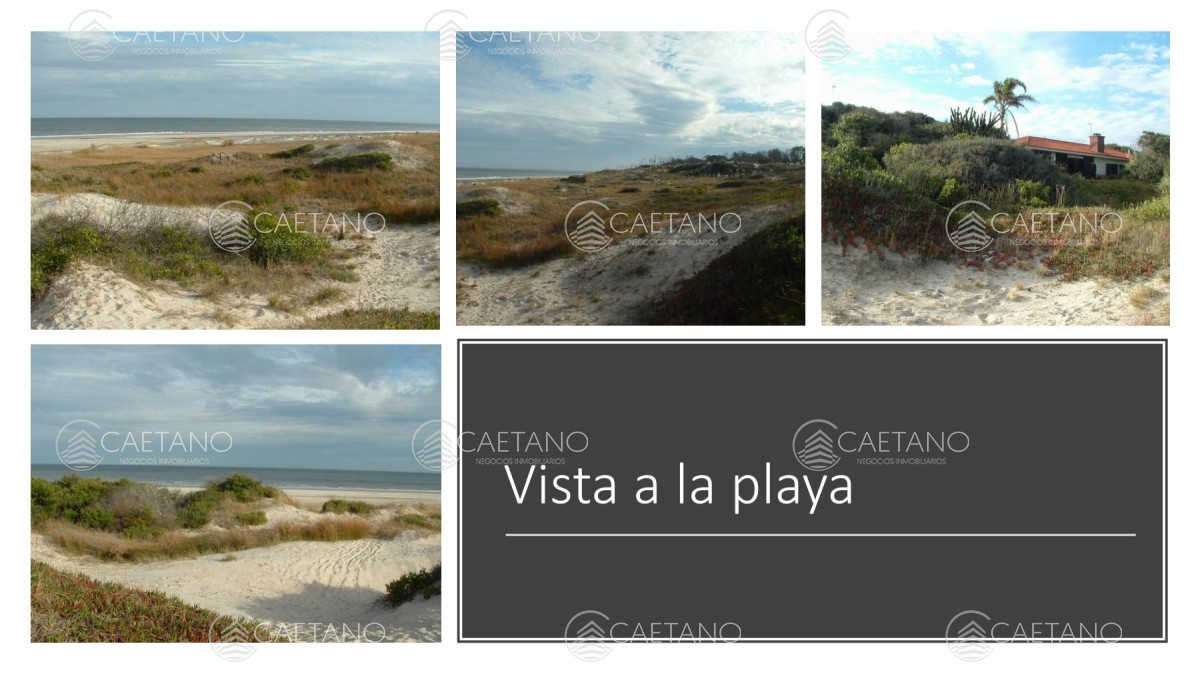 Venta campo 117 hectáreas sobre río de la plata - GoPunta - Portal Inmobiliario de Punta del Este - Maldonado
