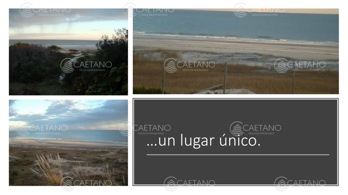 Venta campo 117 hectáreas sobre río de la plata - GoPunta - Portal Inmobiliario de Punta del Este - Maldonado