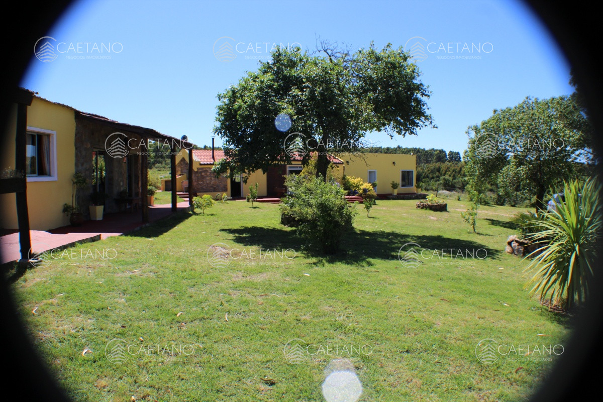 En venta, campo con casa y acceso directo desde ruta 12. Excelentes vistas. - GoPunta - Portal Inmobiliario de Punta del Este - Maldonado
