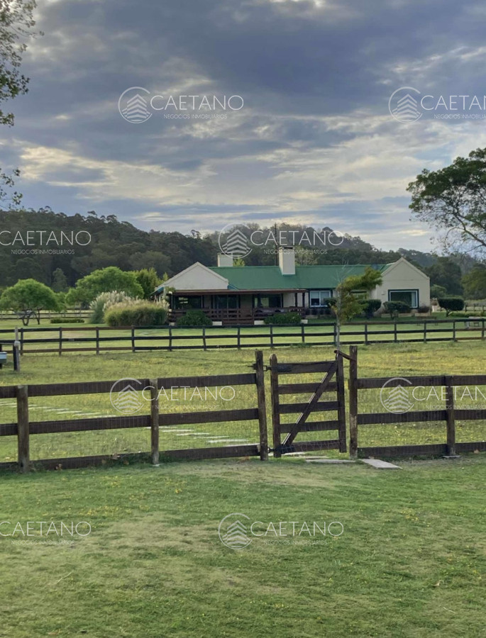 Venta espectacular chacra de 10hás en Punta Ballena - Dos casas, piscina, parrillero - DMC13763P