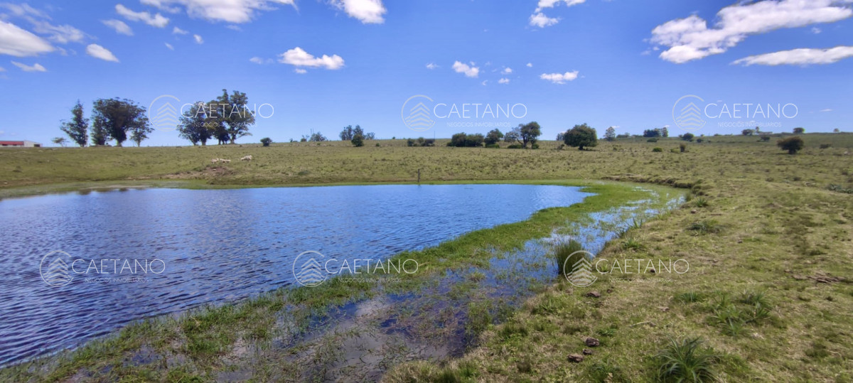 Venta 47has con casa, costa de arroyo y 5 tajamares - DMC12985P