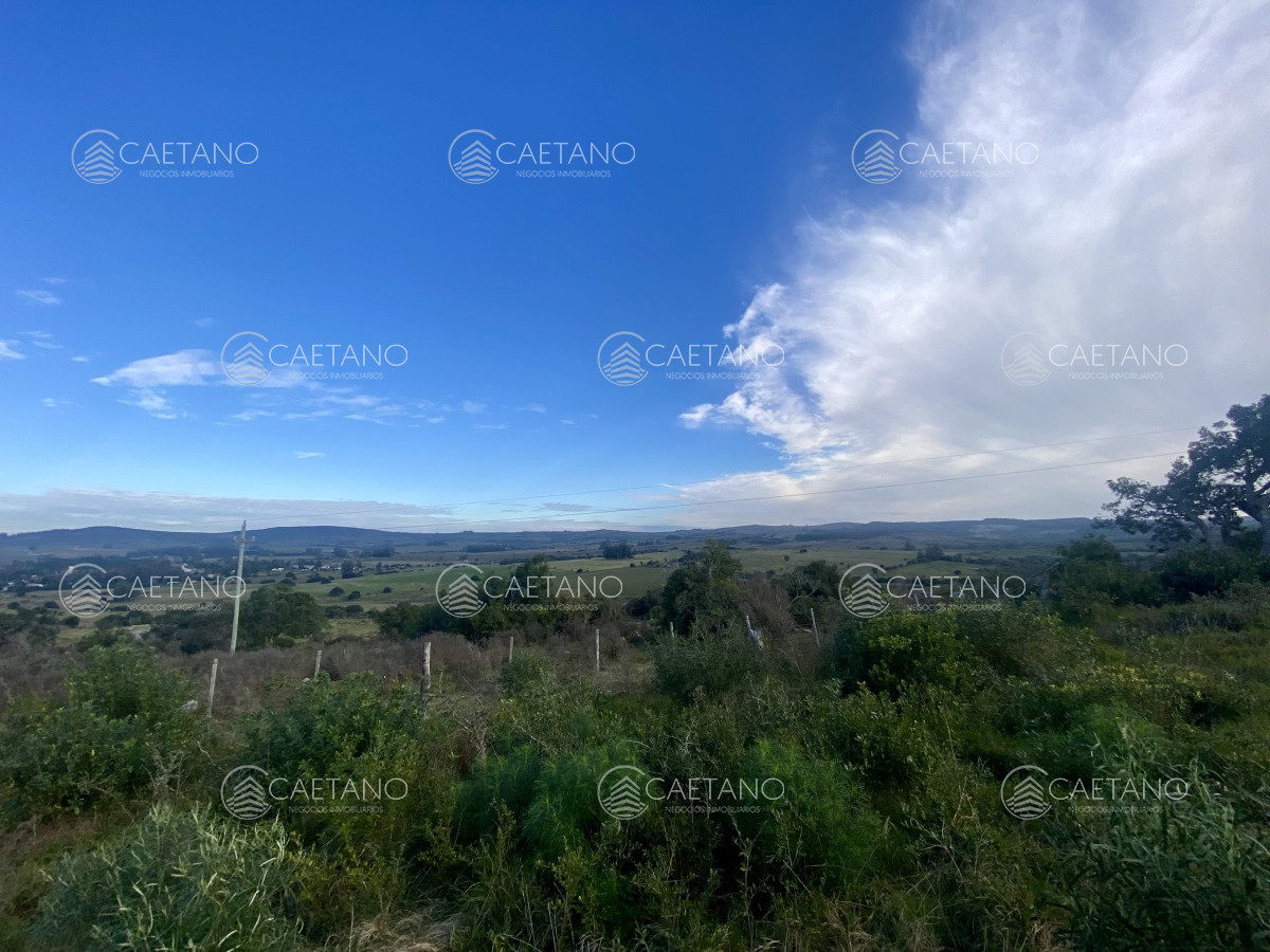 Venta campo 261 hectareas. Ruta 12 Maldonado. - GoPunta - Portal Inmobiliario de Punta del Este - Maldonado