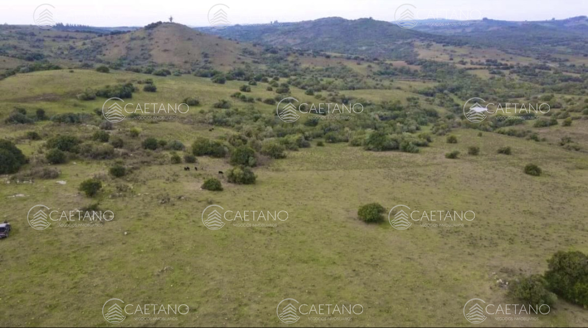 Venta chacra 36has Pueblo Eden - GoPunta - Portal Inmobiliario de Punta del Este - Maldonado