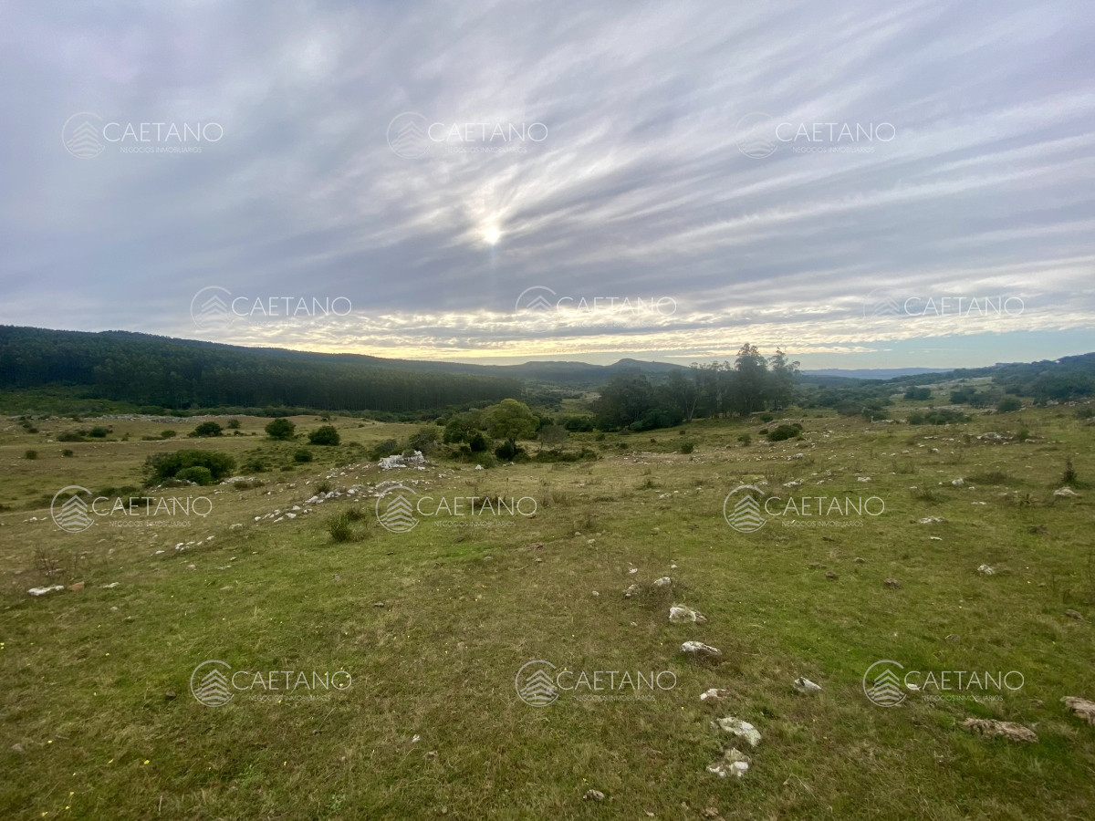 Venta campo 261 hectareas. Ruta 12 Maldonado. - GoPunta - Portal Inmobiliario de Punta del Este - Maldonado