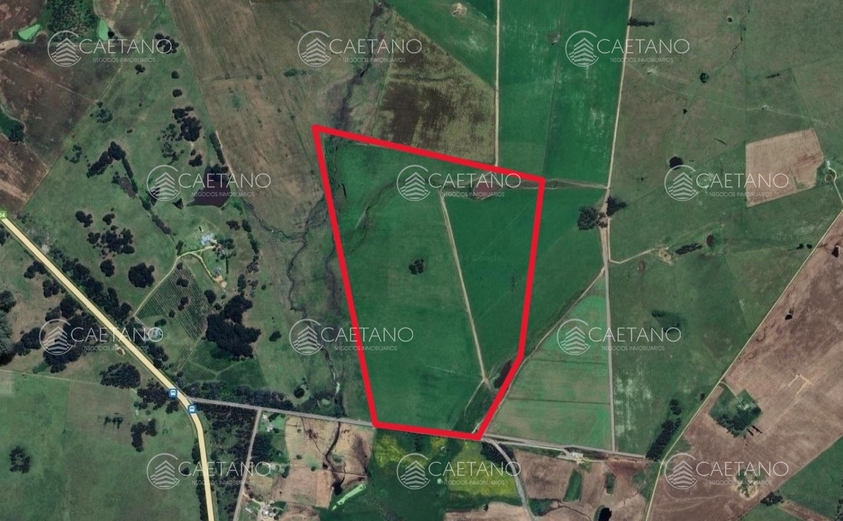 Venta Terreno 42 Hectareas Maldonado - GoPunta - Portal Inmobiliario de Punta del Este - Maldonado