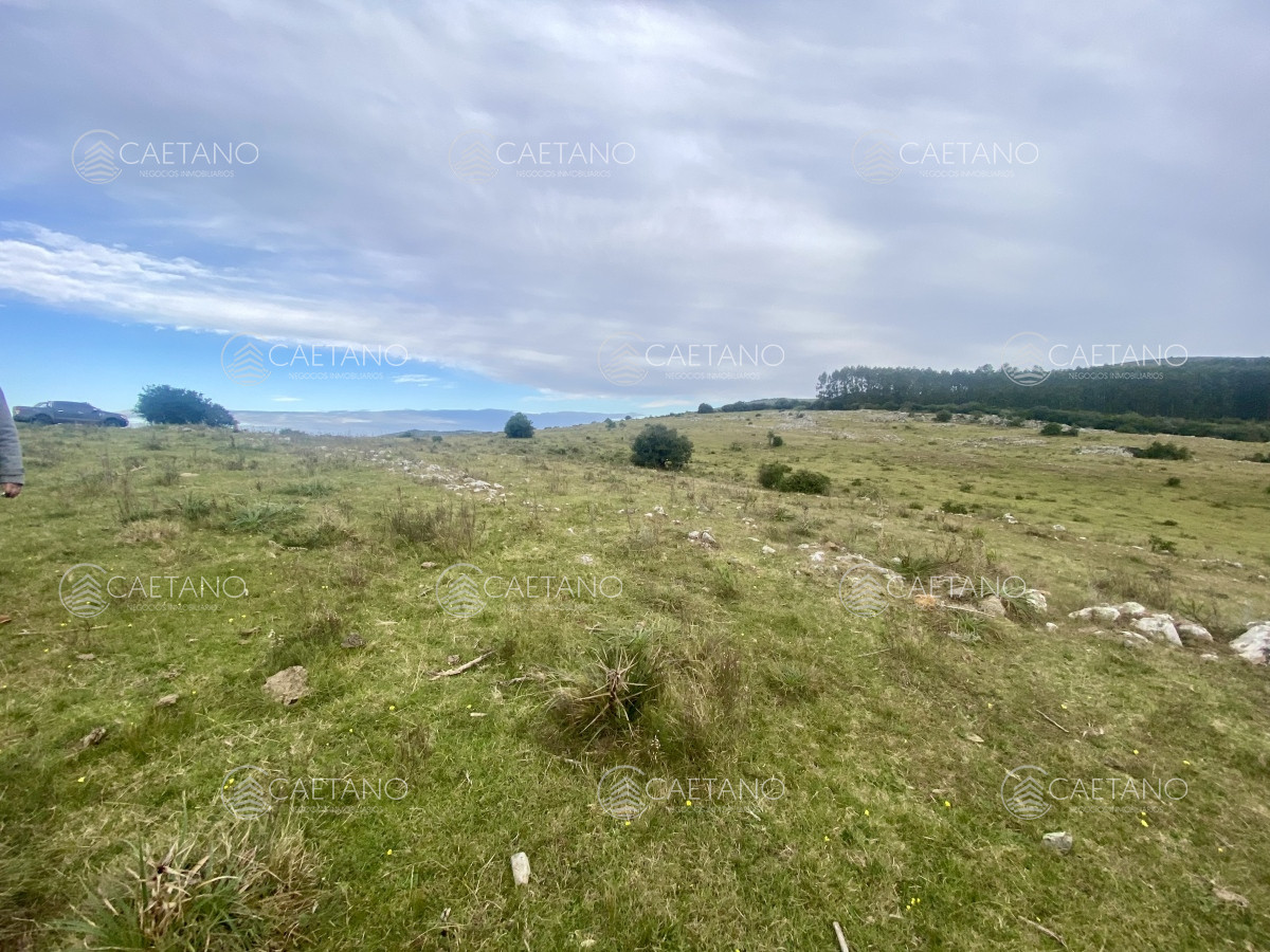 Venta campo 261 hectareas. Ruta 12 Maldonado. - GoPunta - Portal Inmobiliario de Punta del Este - Maldonado