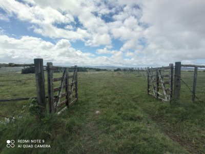 Venta de Campo, Maldonado.Campo de 41 Hectáreas, próximo a Pueblo Edén