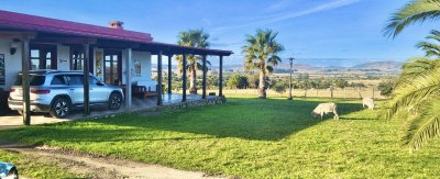 Venta campo 