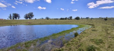 Venta 47has con casa, costa de arroyo y 5 tajamares