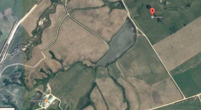 Venta campo de 113 hectáreas ubicado en Garzón