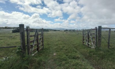 Venta de Campo, Maldonado.Campo de 41 Hectáreas, próximo a Pueblo Edén