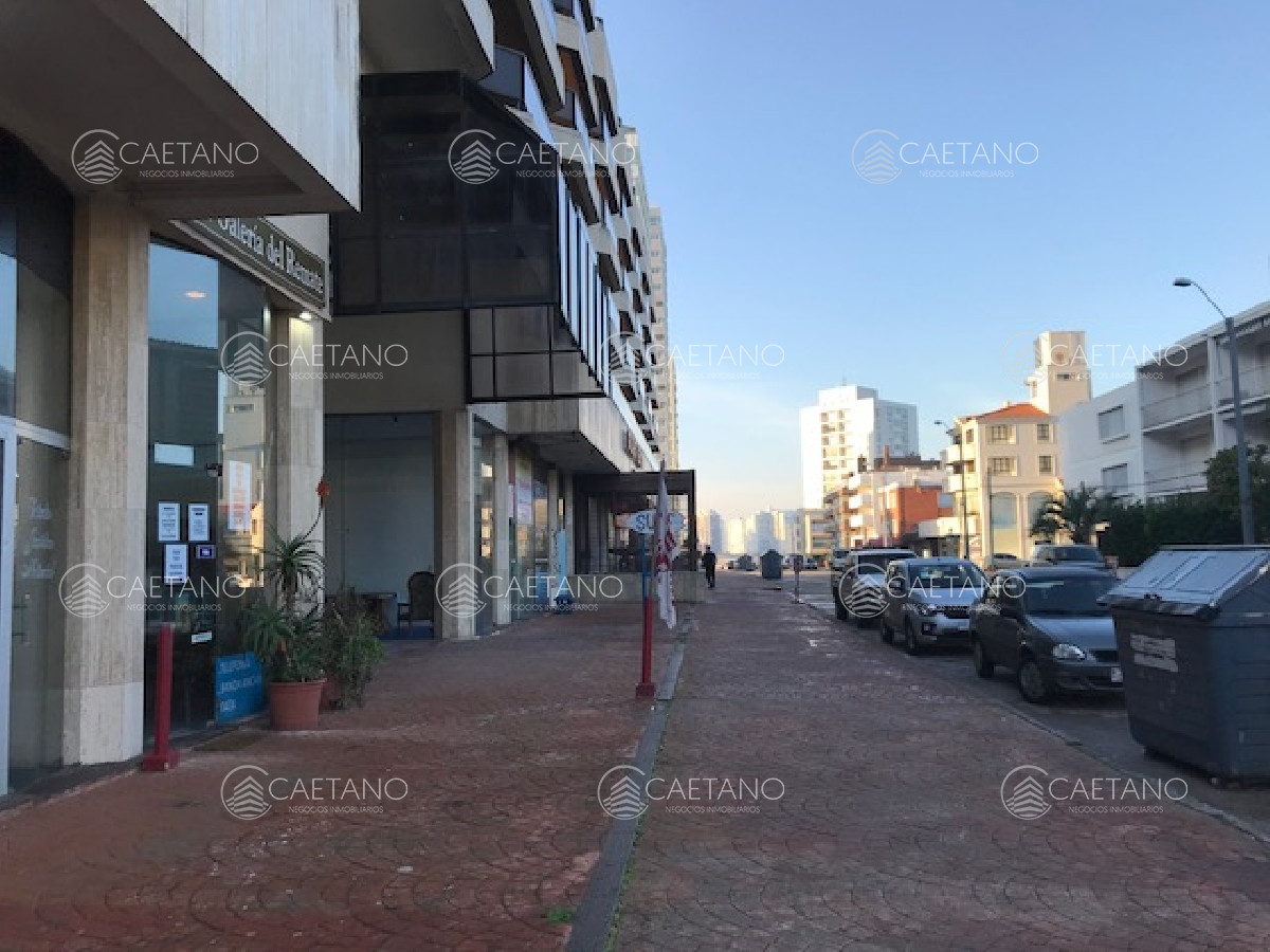 Península - GoPunta - Portal Inmobiliario de Punta del Este - Maldonado