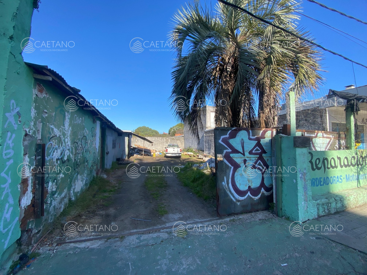 Maldonado - GoPunta - Portal Inmobiliario de Punta del Este - Maldonado