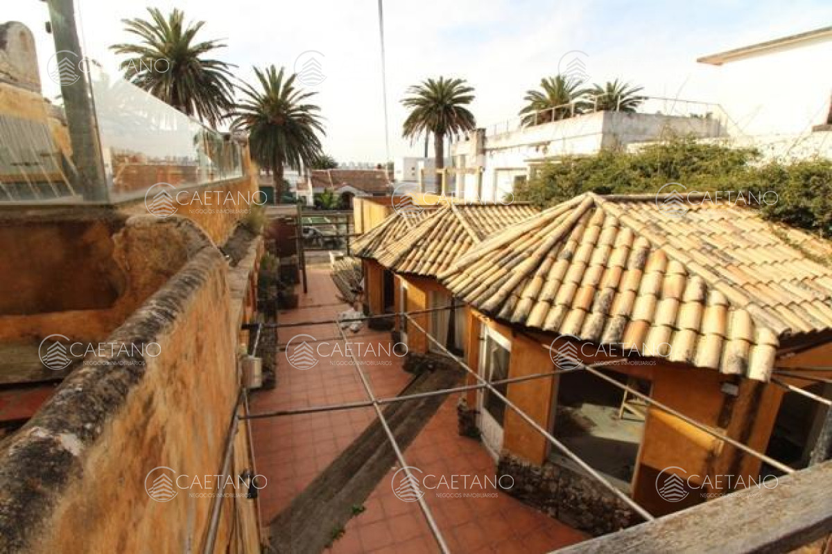 Punta del Este - GoPunta - Portal Inmobiliario de Punta del Este - Maldonado