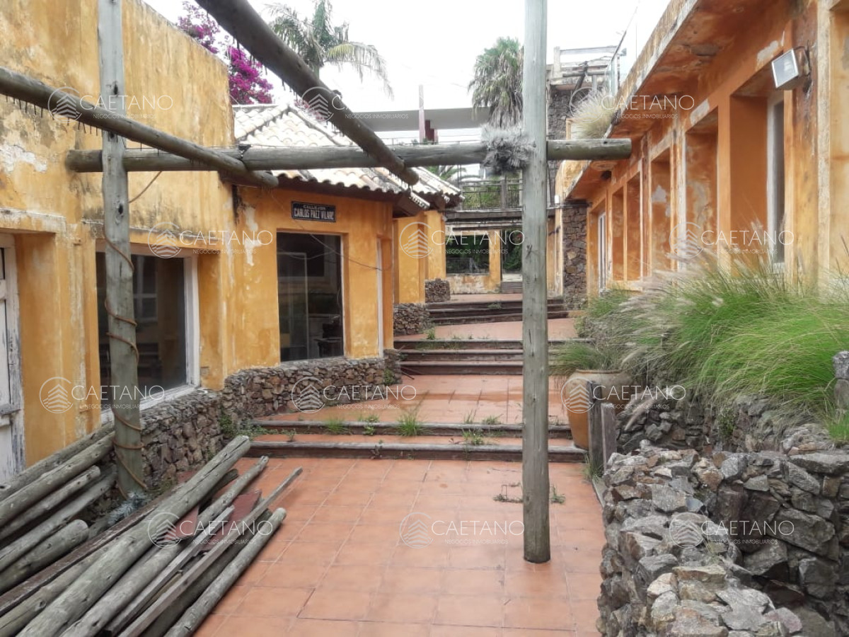 Punta del Este - GoPunta - Portal Inmobiliario de Punta del Este - Maldonado