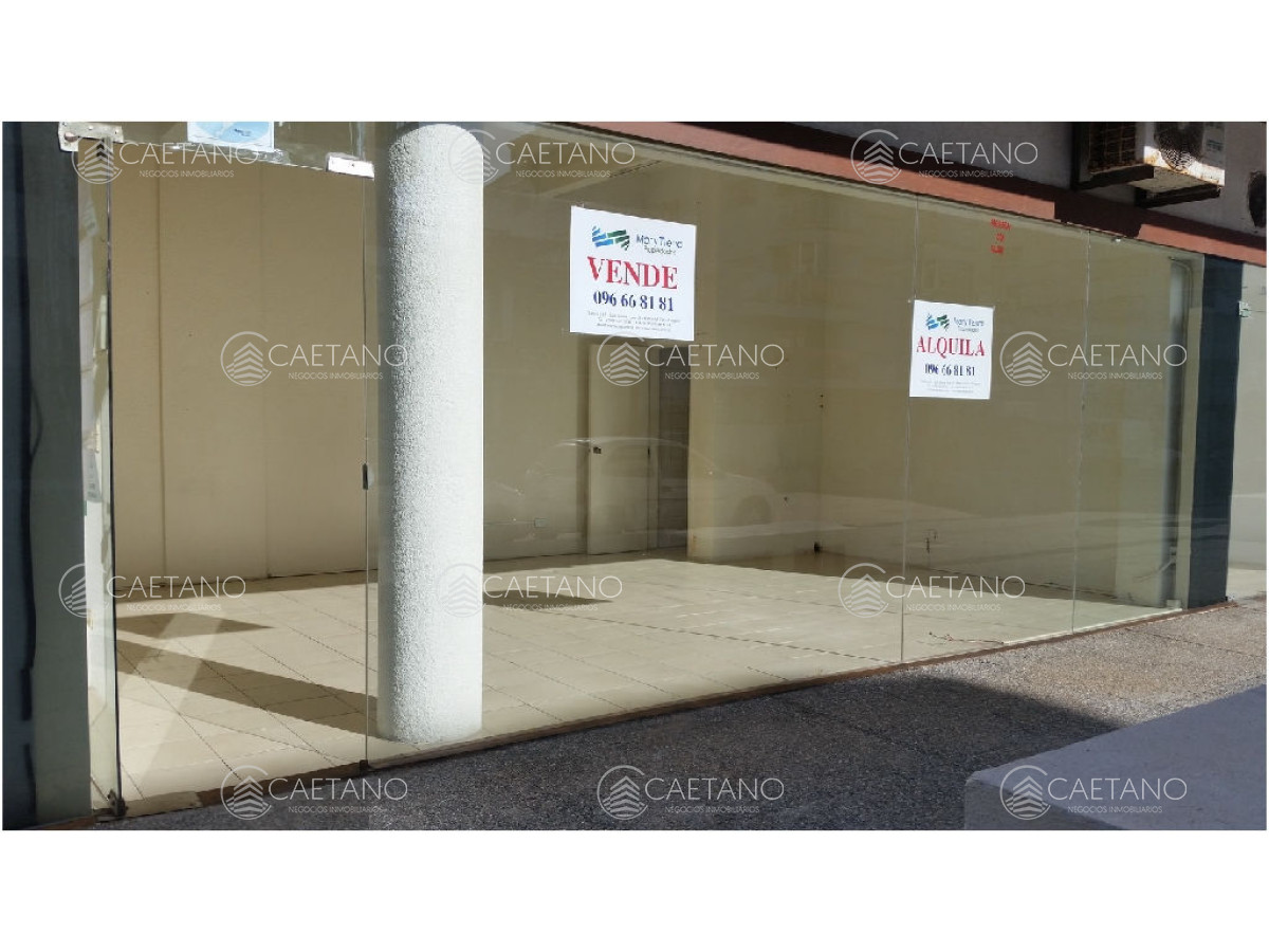 Península - GoPunta - Portal Inmobiliario de Punta del Este - Maldonado