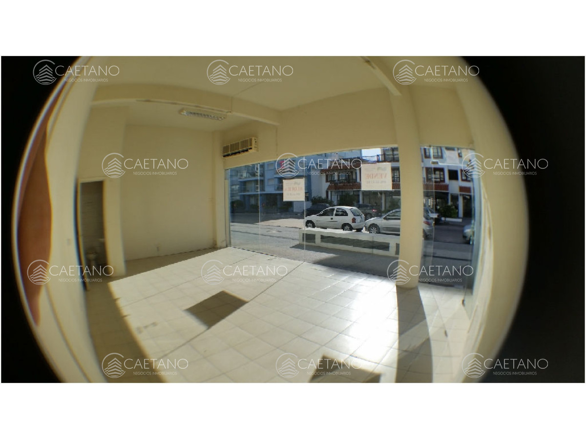 Península - GoPunta - Portal Inmobiliario de Punta del Este - Maldonado