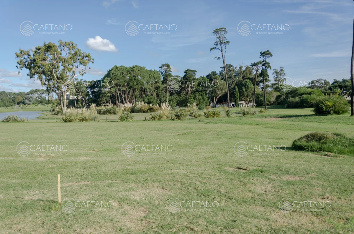Venta lote en Veramansa, Playa Mansa  - DMC16304T