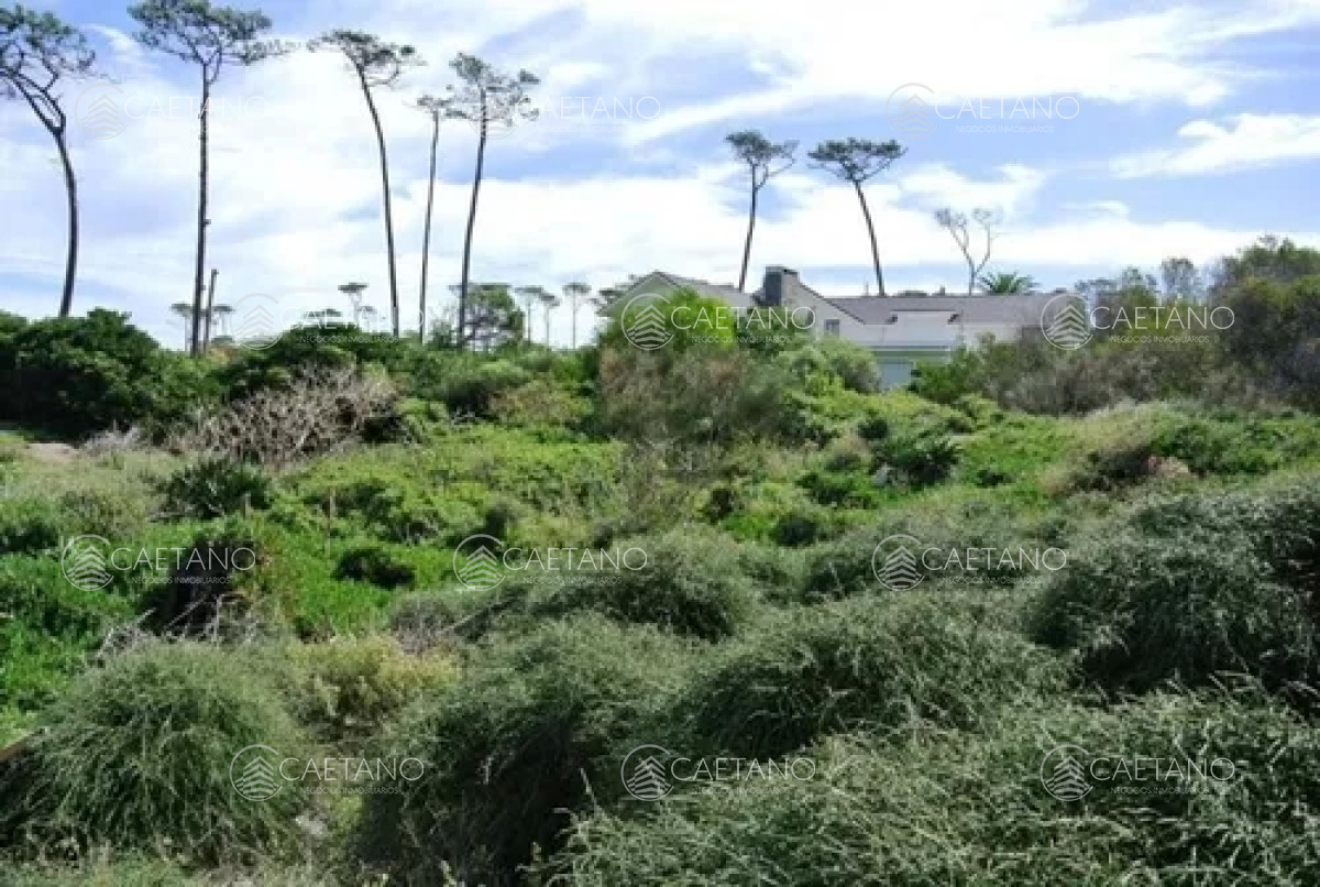 Pinares - GoPunta - Portal Inmobiliario de Punta del Este - Maldonado